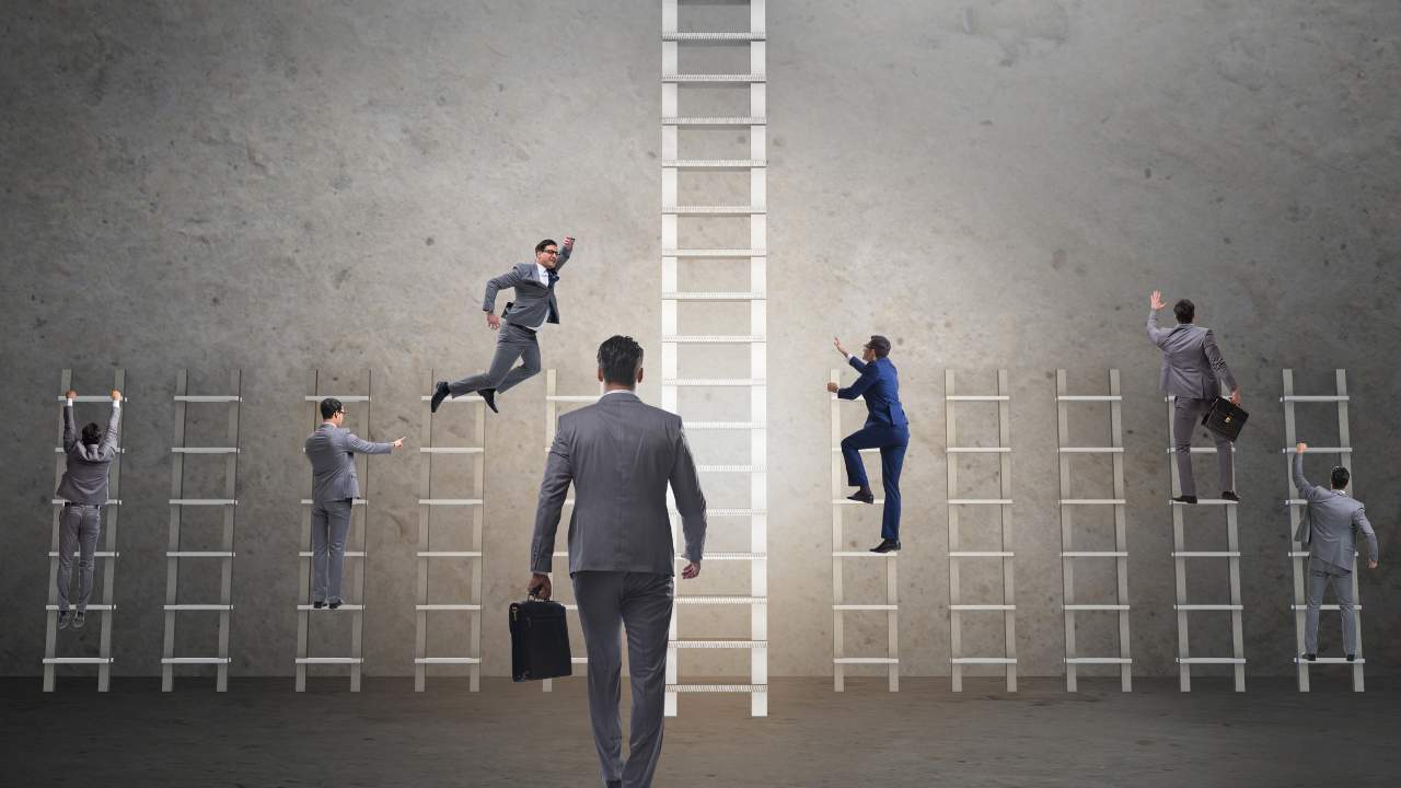 personal and business reputation management
